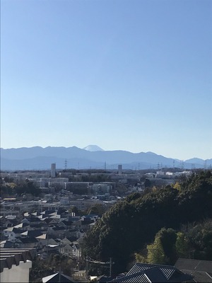 4C7A3DB4-FE88-4C40-A3ED-49F2701345C5.jpeg